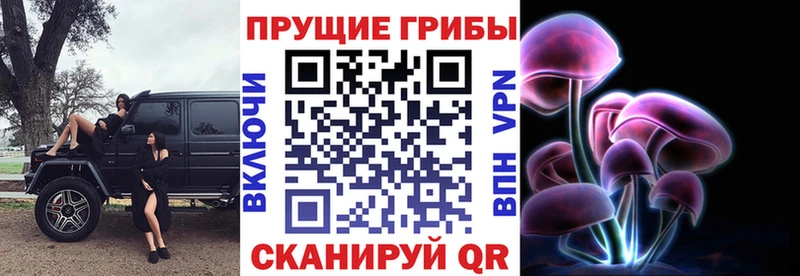 darknet клад mega ONION Долинск Галлюциногенные грибы Psilocybine cubensis